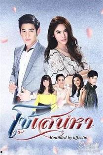 新爱的牵绊在线观看,情感纠葛的浪漫旅程